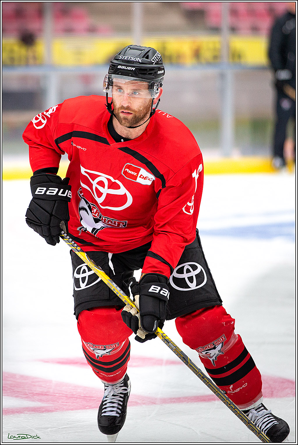 PENNY DEL; Koelner Haie Wintergame Training; Koeln, 02.12.2022